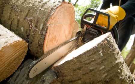 average tree removal price