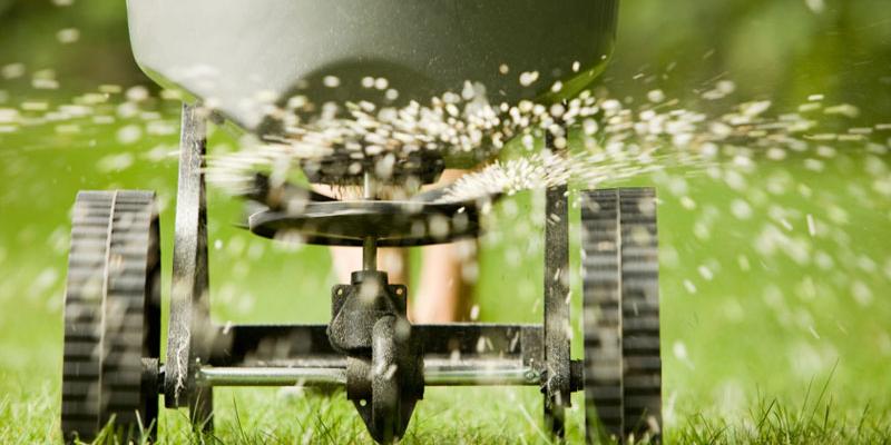 lawn seeding Waves, NC